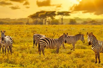 W poszukiwaniu źródeł Nilu