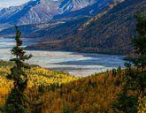 Kanada i Alaska - Łosie i Łososie