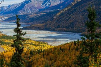 Kanada i Alaska - Łosie i Łososie