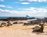 Z Andów na Galapagos