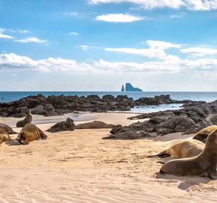 zdjęcie oferty Z Andów na Galapagos
