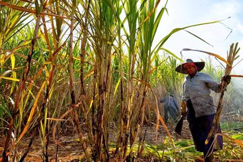 Rum, kawa, czekolada