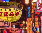 Chiny i Japonia - Dwa oblicza Orientu