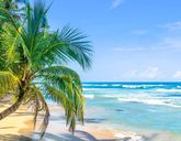 Ezgotyka Light - Pura Vida - Kostaryka