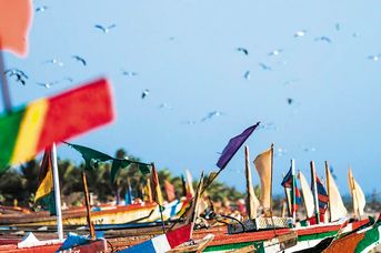 Egzotyka Light - Senegal