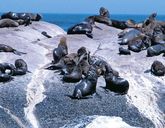 RPA i Kapsztad - W cieniu Góry Stołowej