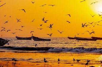 Afryka naturalnie dzika