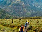 Tropami Dzikiej Afryki: Wyprawa do Ugandy