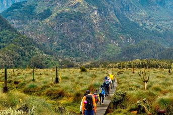 Tropami Dzikiej Afryki: Wyprawa do Ugandy