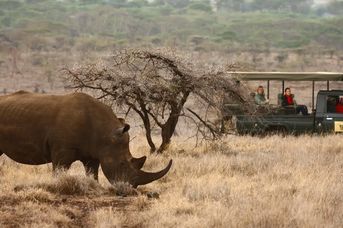 Kenia - Tanzania /+ Wyspa Zanzibar/