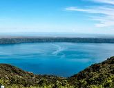 Pośród dzikiej przyrody