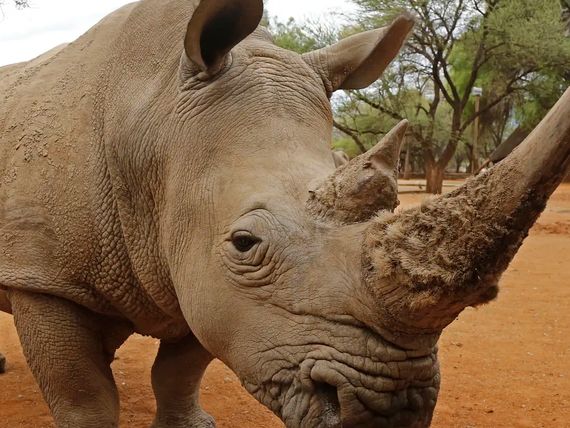 Namibia - Botswana - Zimbabwe