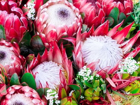 RPA /+ wycieczka do Suazi/