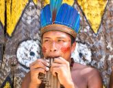 Brazylia /+ Amazonia i Pantanal/