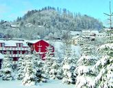 Familienhotel Reiterhof