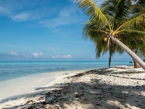 Seaside Cabanas 4*
