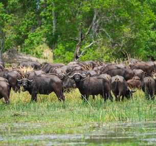 zdjęcie oferty Pustynia & Delta