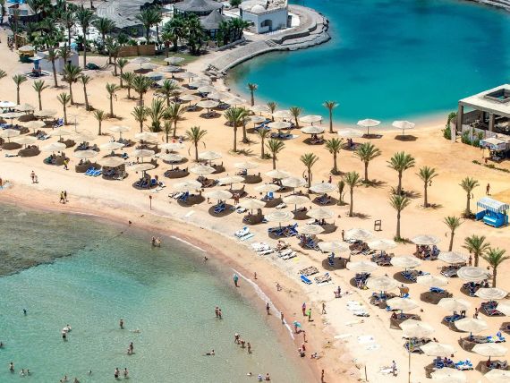 Calimera Blend Paradise - zdjęcie 2