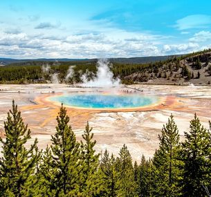 zdjęcie oferty Dzika przyroda USA: od Yellowstone po Arches