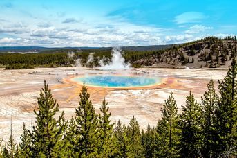 Dzika przyroda USA: od Yellowstone po Arches