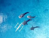 Filipiny: Ocean Przygód i Wyspy Czarów