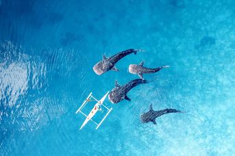 Filipiny: Ocean Przygód i Wyspy Czarów