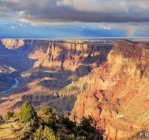 zdjęcie oferty California Dream