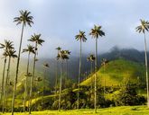 Kolumbia na Szóstkę!