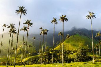 Kolumbia na Szóstkę!