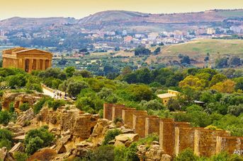 Pomarańcze I Mandarynki