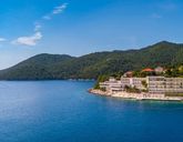 Aminess Younique Lume