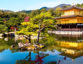 Japonia dla koneserów