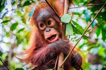 Naturalne piękno Indonezji