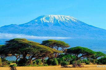 Śniegi Kilimandżaro + Hotel Prideinn Flamingo Beach Resort & Spa