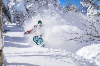 Ski Safari - Narty w Japonii