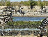 Namibia dla koneserów