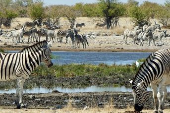 Namibia dla koneserów