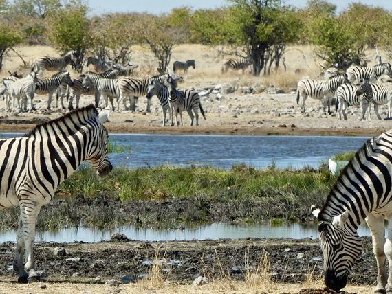 Namibia dla koneserów