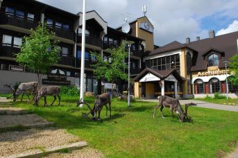 Lapland Riekonlinna