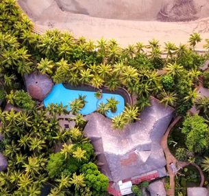 zdjęcie oferty Ravintsara Wellness