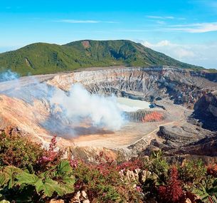 zdjęcie oferty Dzika Kostaryka