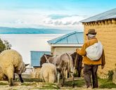 Tajemnice Altiplano - Peru, Boliwia, Chile