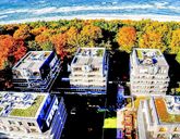 Golden Tulip Miedzyzdroje Residence