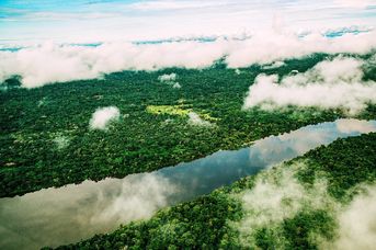 Od Dzikiej Amazonii Po Rajskie Karaiby