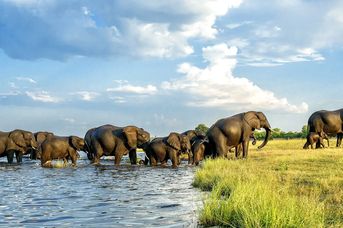 Bez Trwogi Po Bezdrożach: Botswana i Zimbabwe