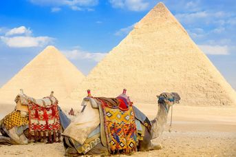 Sekrety Faraonów Platinum