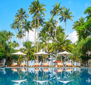 zdjęcie oferty Mermaid