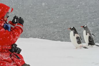 Antarktyda - Argentyna /+ Ziemia Ognista/