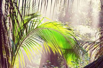 Panama + wyspy Bocas del Toro - Kostaryka