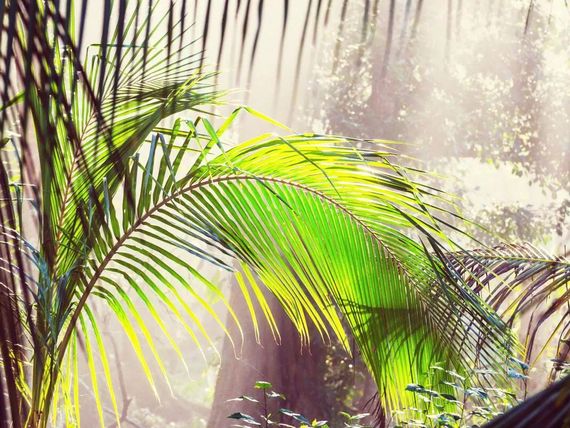 Panama + wyspy Bocas del Toro - Kostaryka